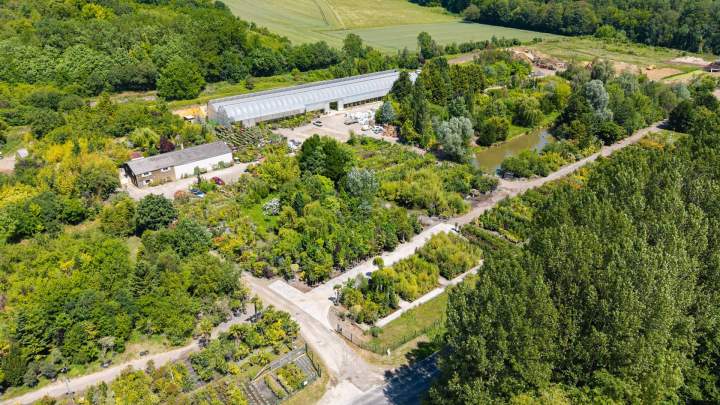 LES PEPINIERES DU PLESSIS LUZARCHES (5)
