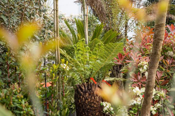 Jardin paysager Île-de-France