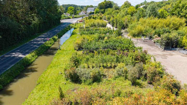 Conseils jardinage Île-de-France