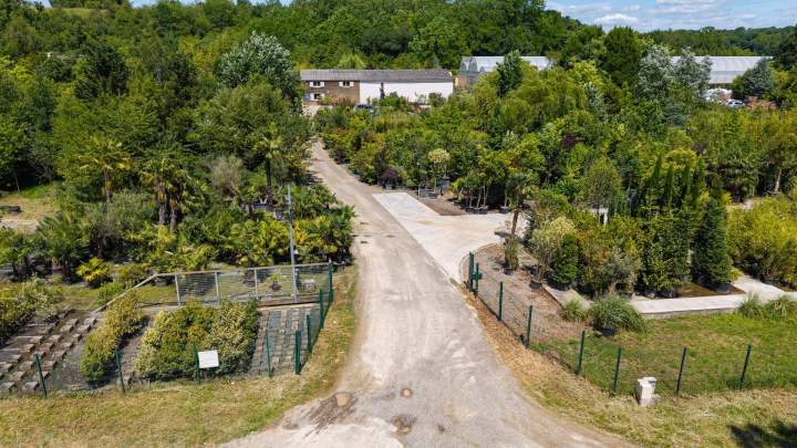 LES PEPINIERES DU PLESSIS LUZARCHES (6)