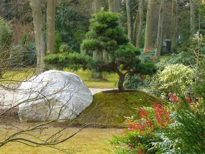 Jardin paysager Île-de-France