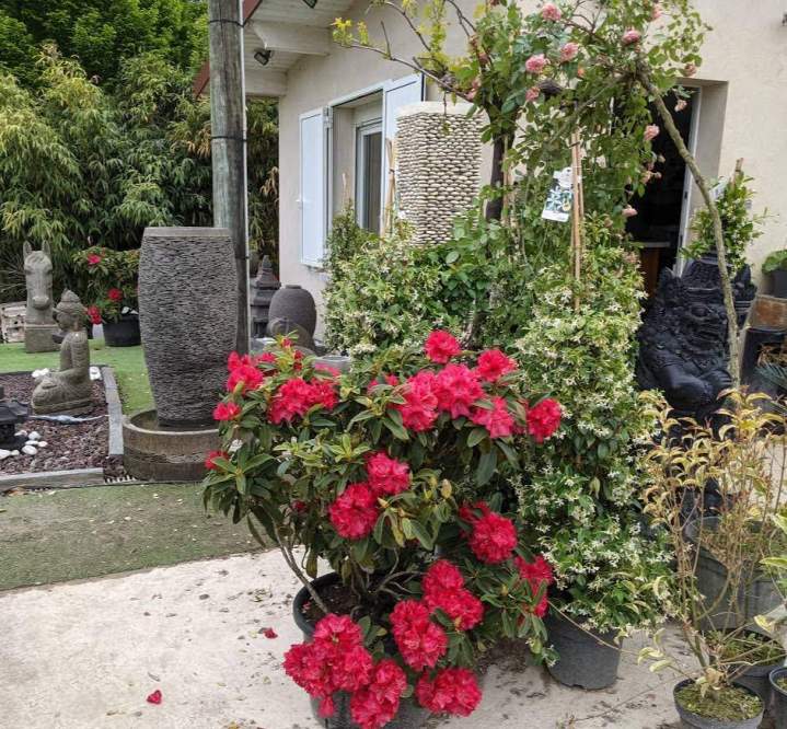 Jardin paysager Île-de-France