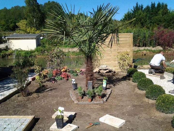 Vente des plantes méditerranéennes Île-de-France