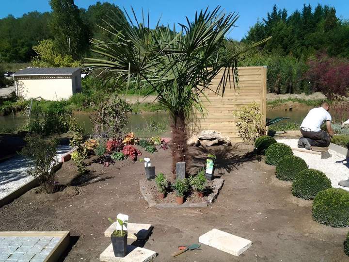 Conseils jardinage Île-de-France
